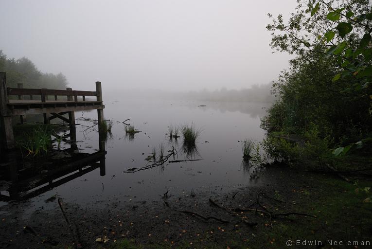 ENE-20100809-0531.jpg - Meerbaansblaak, Nationaal Park De Groote Peel